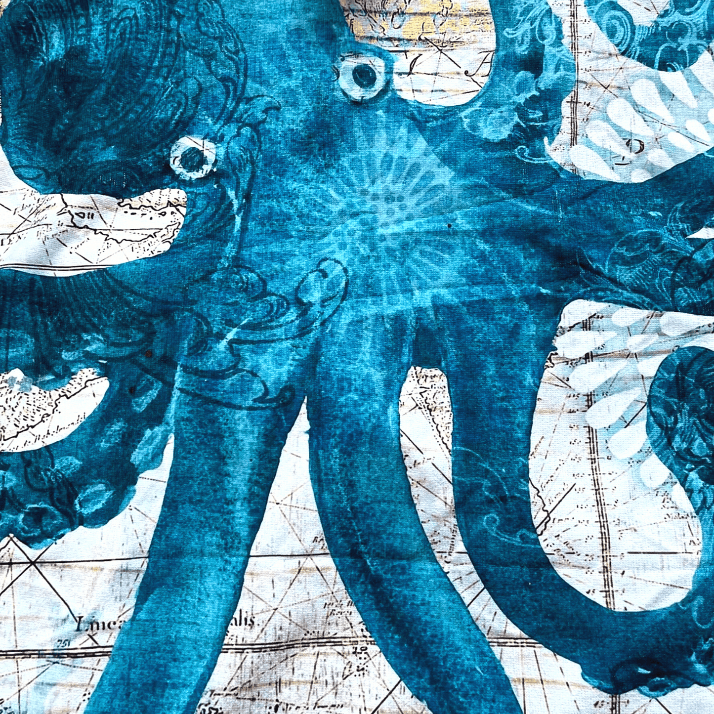 Adult Poncho Towel - Octopus - Dropbear Outdoors