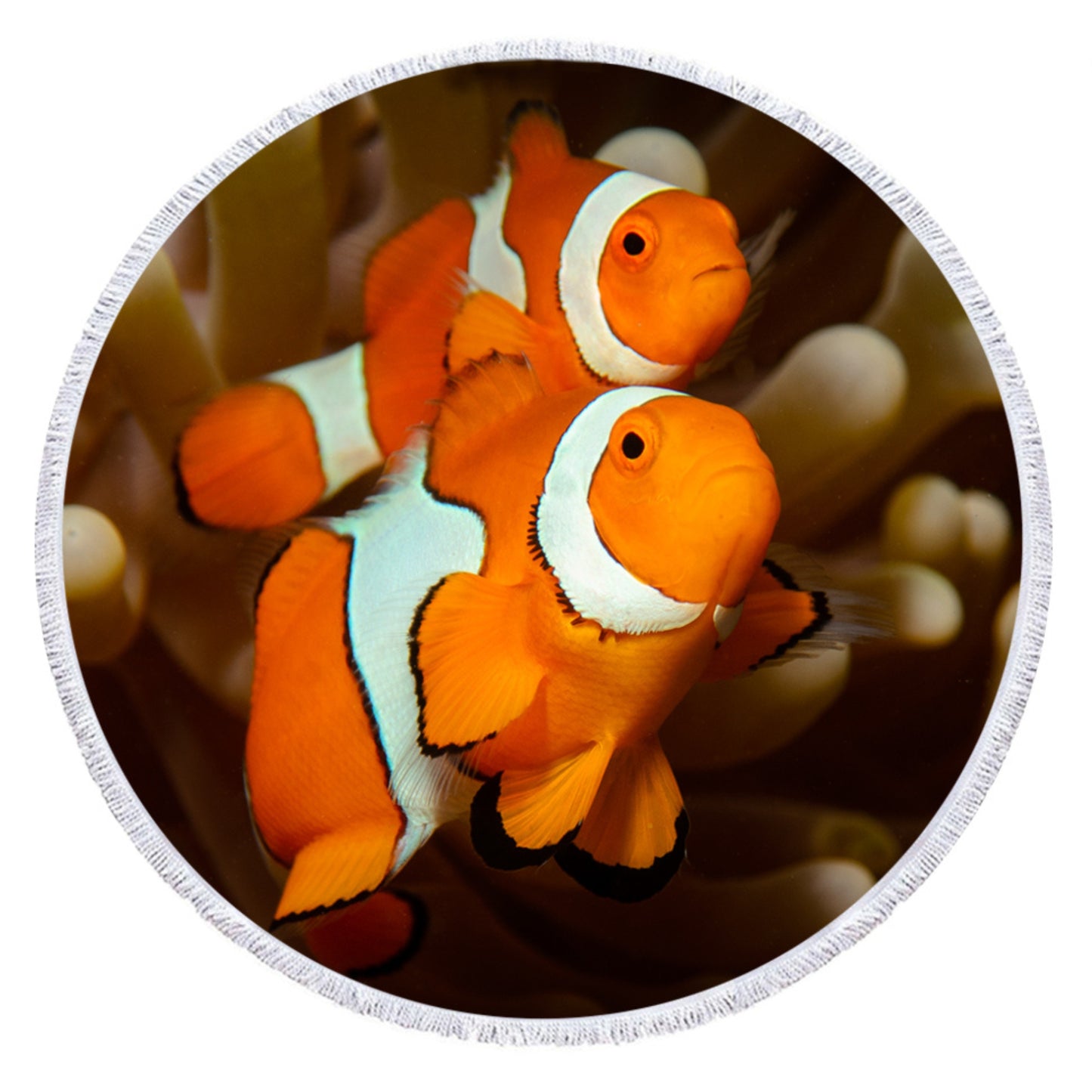 Clownfisch - Anpassbar