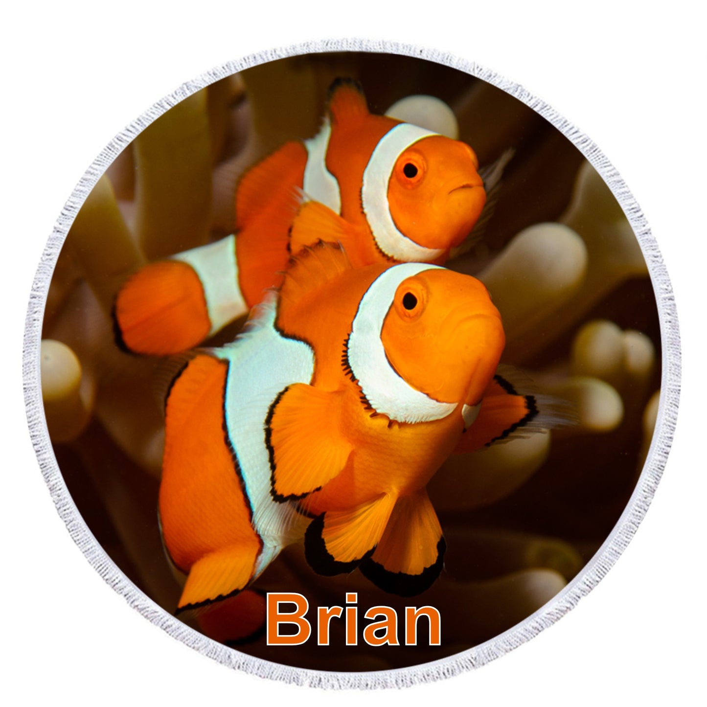 Clownfisch - Anpassbar