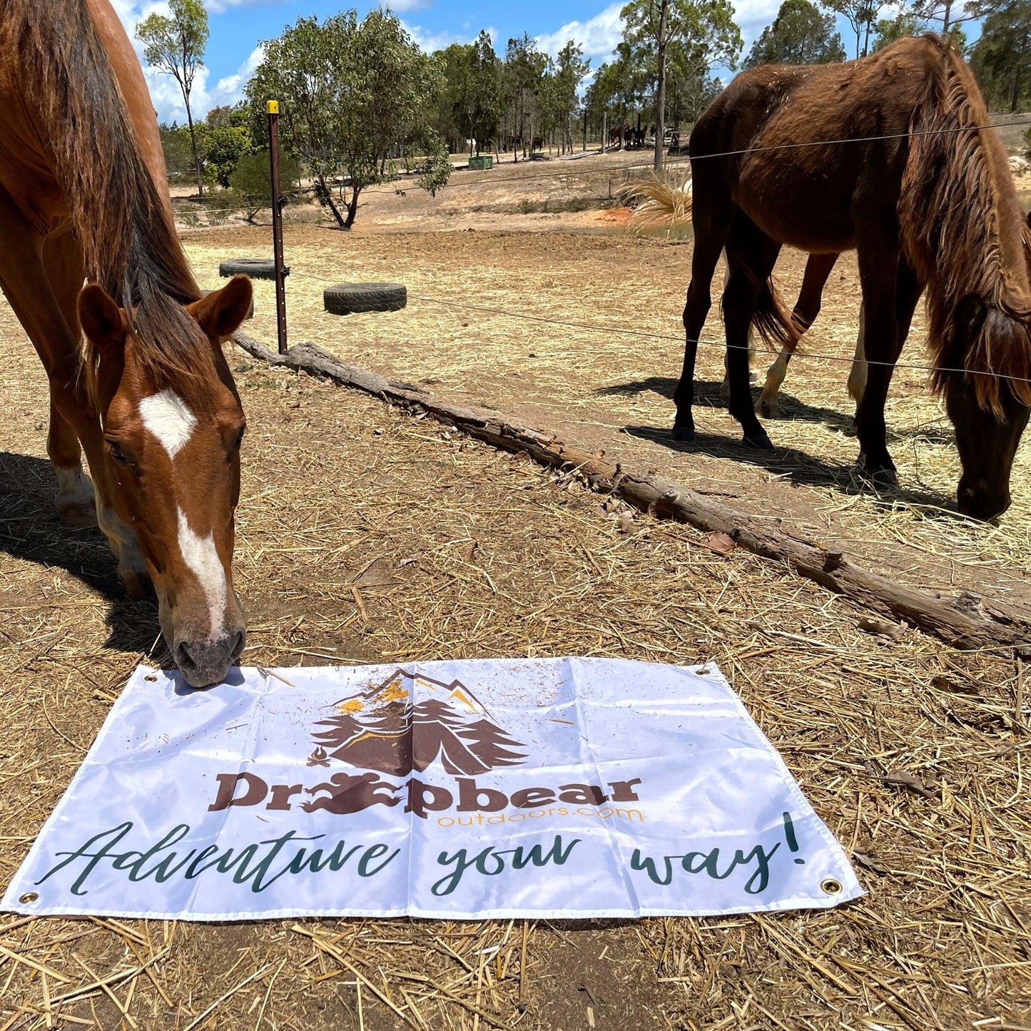 Adult Poncho Towel - Down to Earth - Dropbear Outdoors